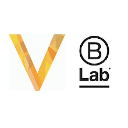 B Lab partners with Social Value International to help companies measure and improve their impact