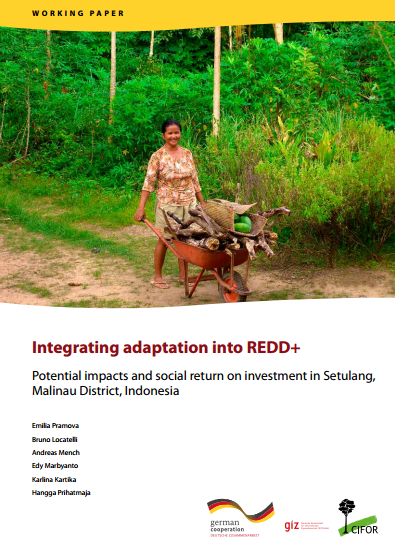 Integrating Adaptation into REDD+ : Potential impacts and social return on investment in Setulang, Malinau District, Indonesia